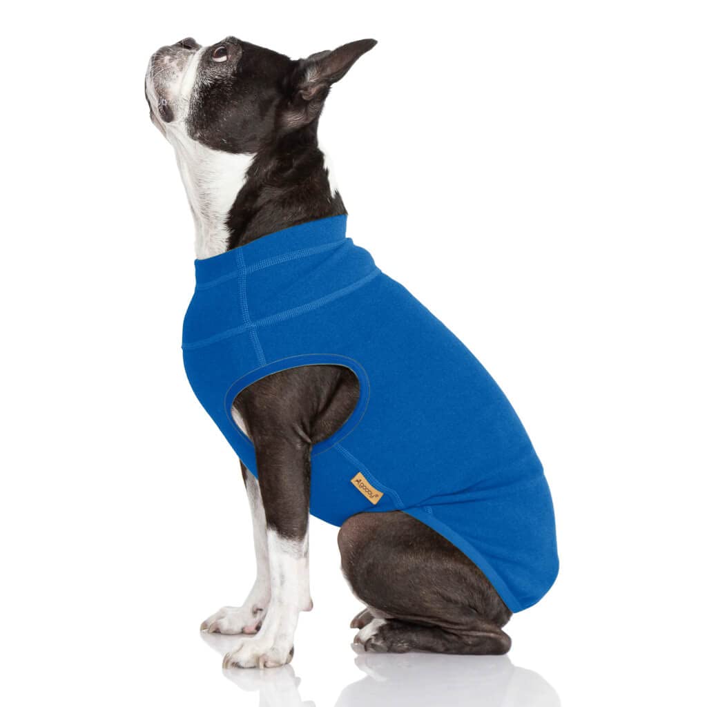 Gooby Microfiber Stretch Fleece Vest Dog Sweater - Pullover Fleece Dog Jacket - Dog Clothes for Small Dogs Boy - Dog Sweaters for Small Dogs to Dog Sweaters for Large Dogs for Indoor and Outdoor Use X-Small Length (7") Blue - PawsPlanet Australia