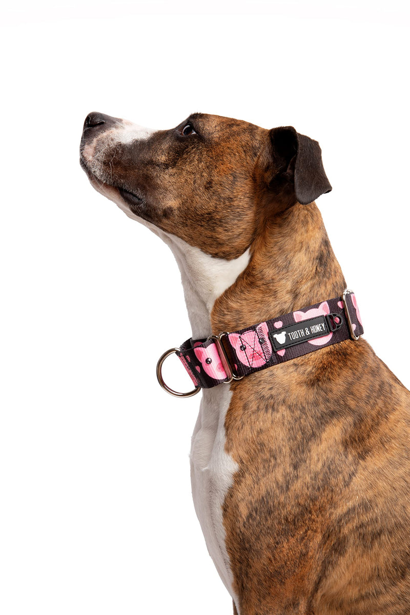Tooth and Honey Pitbull 1.5" Wide Pig Martingale Collar - PawsPlanet Australia