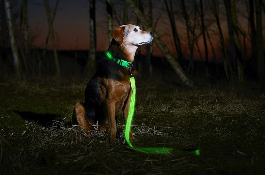 (Shared Products ) LED Dog Leash, Light Up Dog Leash, Micro USB Rechargeable, Waterproof, Nylon Webbing, Glow Safety Standard Dog Leash (Green with 2 Reflective Wires) - PawsPlanet Australia