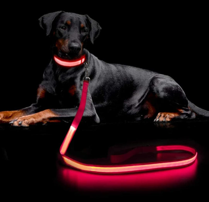 (Shared Products ) LED Dog Leash, Light Up Dog Leash, Micro USB Rechargeable, Waterproof, Nylon Webbing, Glow Safety Standard Dog Leashes (Ruby Red with 2 Reflective Wires) - PawsPlanet Australia
