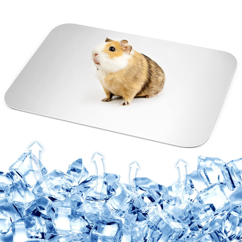 Bunny Cooling Pad Rabbit Hamster Cooling Mat Chinchillas Cooling Pad Aluminum Silver Metal Summer Cooling Mat for Hamster Bunny Guinea Pig and Other Small Pets - PawsPlanet Australia