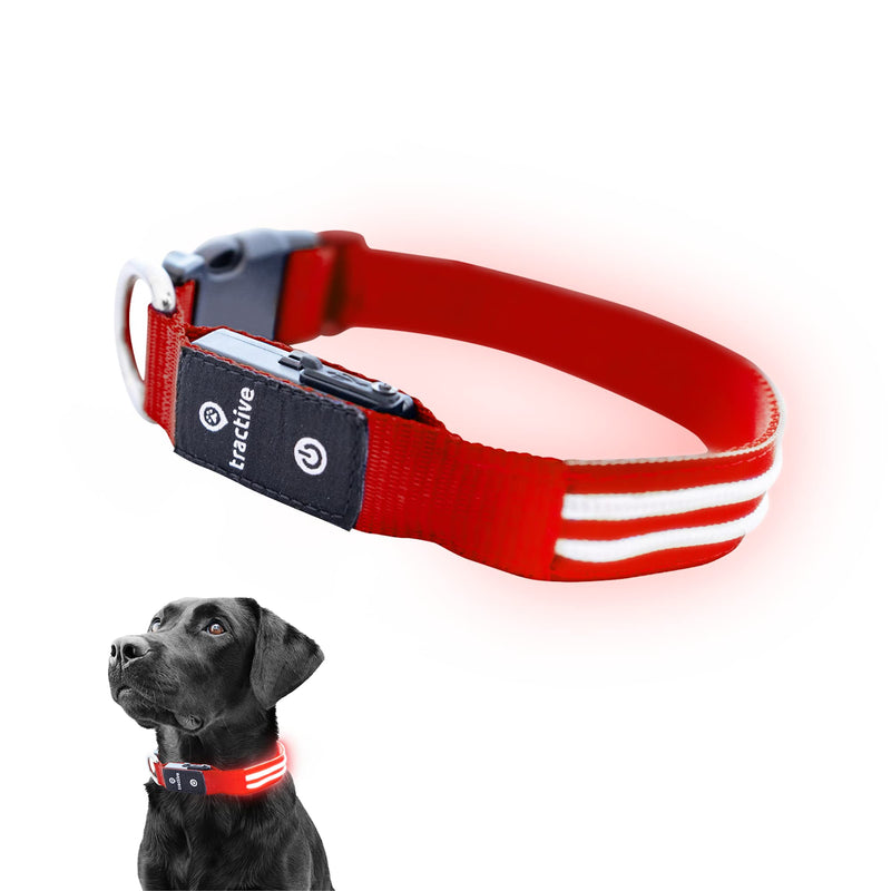 Tractive LED Light Up Dog Collar - 3 Light Modes for Night Walking, Waterproof, Rechargeable, Up to 10 Hours of Battery, Red (Large) LED Collar Large - PawsPlanet Australia