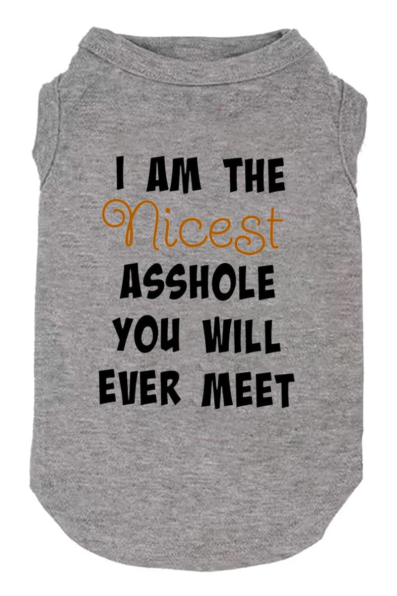 Dog Clothes Funny Slogan Print T Shirt Vest Soft and Light-Weight for Small Medium Large Dogs Sleeveless Shirts (XX-Large, Grey02) XX-Large - PawsPlanet Australia