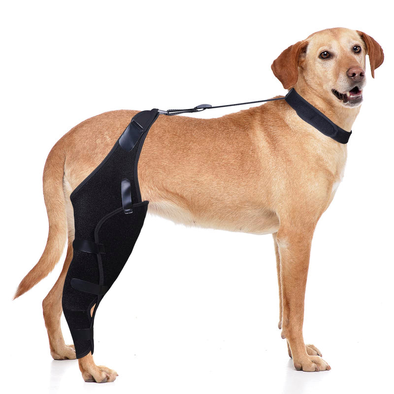DGYAO Dog Knee Brace for ACL, Knee Cap Dislocation, Arthritis - Full Wrap - Easy Adjustable - Extra Support - Reduces Pain and Inflammation ‚Äì Full Sizes Left- S - PawsPlanet Australia
