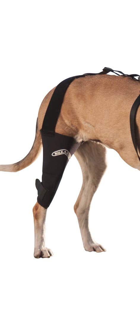 DGYAO Dog Knee Brace for ACL, Knee Cap Dislocation, Arthritis - Full Wrap - Easy Adjustable - Extra Support - Reduces Pain and Inflammation – Full Sizes Right- L - PawsPlanet Australia