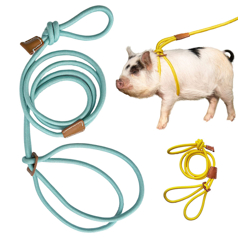 Mini Pig Harness & Leash (Large, Eggshell Blue) Fully Adjustable, Infinity Style Lead, Step-in Harness, Potbelly Pig Supplies, All-in One, Pig Leash, Ideal for Small, Medium & Large Pet Pigs - PawsPlanet Australia