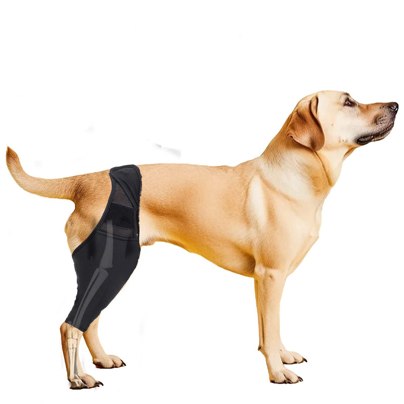 Lineiss Dog Knee Brace Dog Acl Leg Brace Dog Knee Brace for Torn Acl Hind Leg Dog Knee Brace for Luxating Patella Dog Hip Support Brace Adjustable Rear Leg Braces for Dogs Pet Knee Brace Black L - PawsPlanet Australia