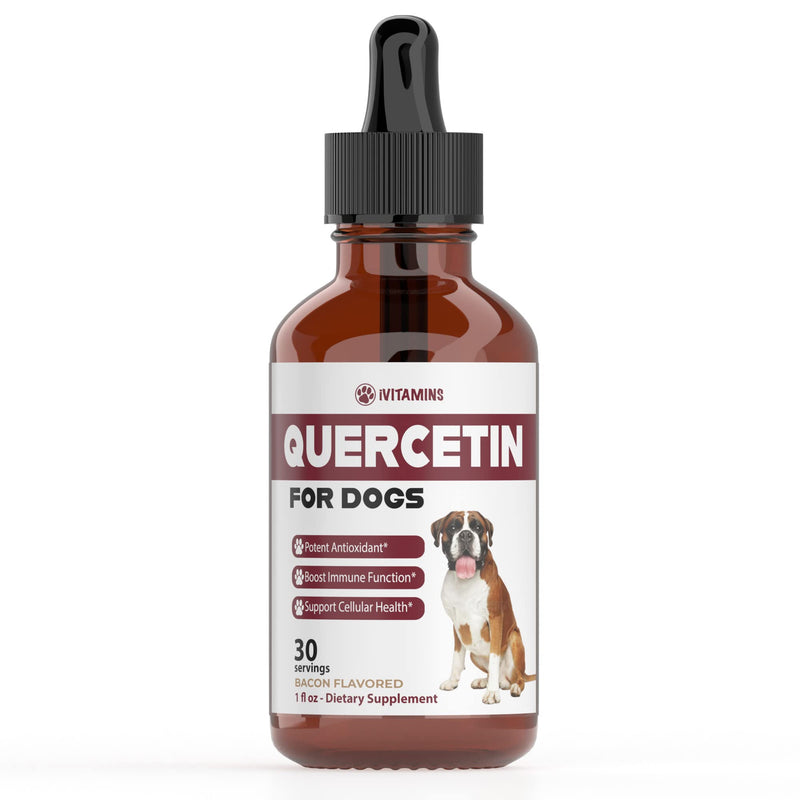 Quercetin for Dogs | Dog Allergy Relief | Quercetin for Dogs Allergies | Dog Allergy | Quercetin | Dog Allergy Support | Quercetin Dog | Dog Allergies | Quercetin Supplements | 1oz: Bacon Flavor - PawsPlanet Australia