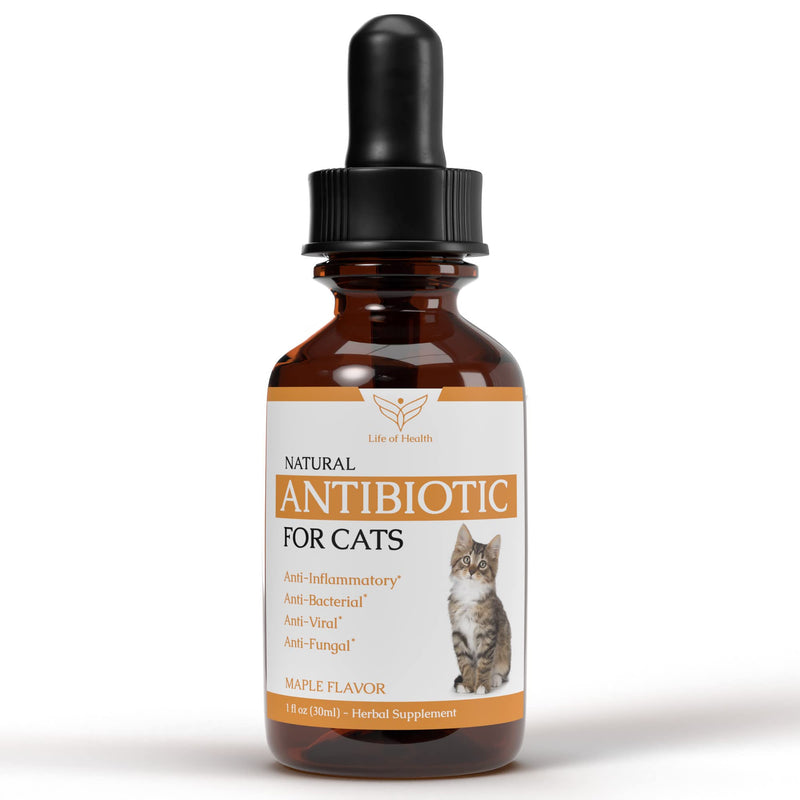 Natural Antibiotics for Cats - Cat Antibiotics - Cat Antibiotic - Pet Antibiotics - Cat Immune Support - Antibiotic for Cats - Cat Multivitamin - Cat UTI Antibiotics - 1 fl oz: Roast Chicken Flavor - PawsPlanet Australia
