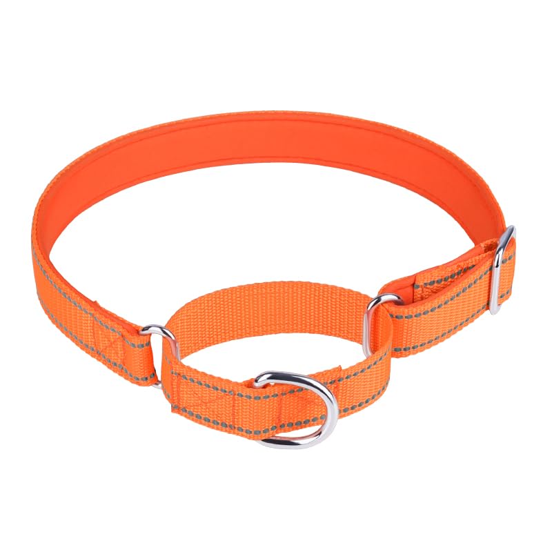 haoyueer Adjustable Martingale Safety Training Dog Collars, Soft Neoprene Padded Breathable Nylon Pet Collar for Large Medium Small Dogs (S, Orange) S - PawsPlanet Australia