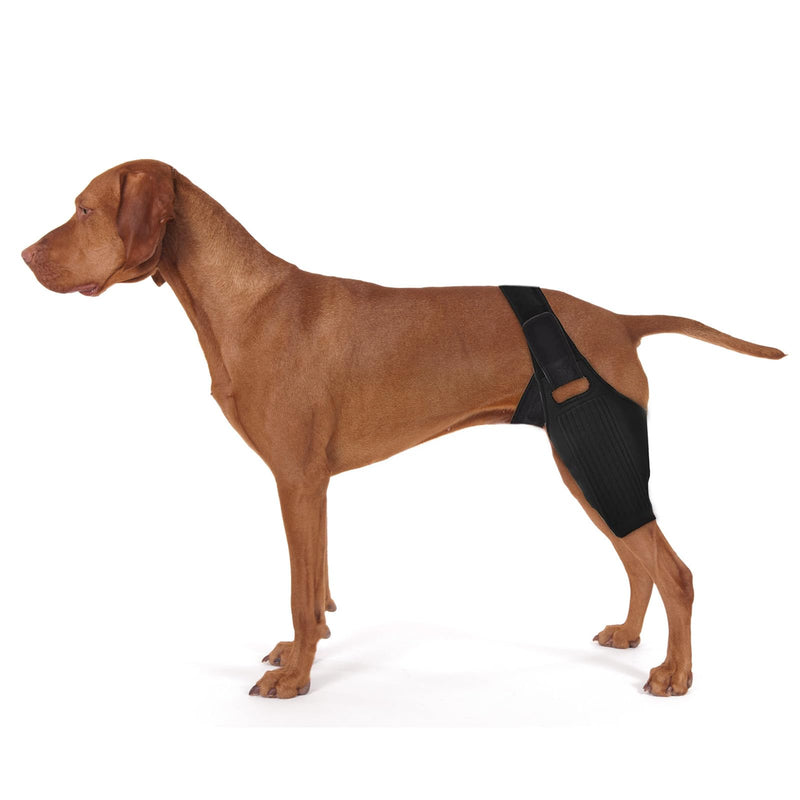 Dog Knee Brace Leg Braces - Dog Canine Knee Brace with 9 Metal Stabilizers Dog Knee Brace for Torn ACL Muscle Sore Hind Leg Joint Pain Reduces Inflammation (XL) XL - PawsPlanet Australia