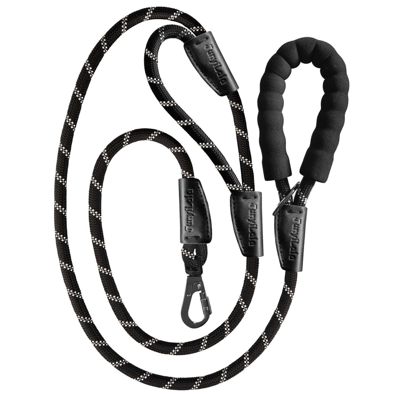 6FT Dog Leash Heavy Duty,Extra Foam Padded Two Handles,Lockable Metal Carabiner Clip,Highly Reflective Dog Leash for Safety,Dog Leashes for Medium & Large Dogs(Black) Black - PawsPlanet Australia