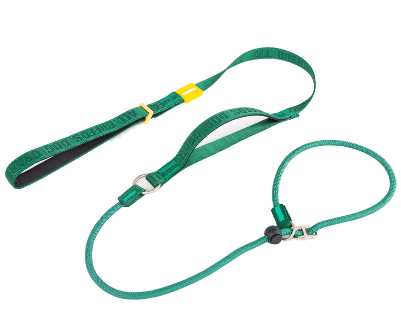 TRICESS Dog Slip Lead Dog Leash,Fine Webbing Training Leash, No Pulling Slip Leash Collar,Heavy Duty&Durable,Padded Handle,Easy-Control for Small,Medium or Large Dogs,5FT (Green, 5FT) Green - PawsPlanet Australia