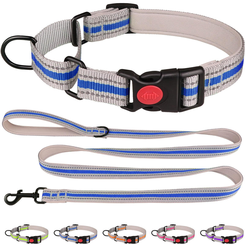 Martingale Collar for Dogs,Soft Neoprene Padded Reflective Martingale Collar and Leash Set Safety Buckle Nylon Martingale Collar for Small Dogs(Blue&S) S Blue - PawsPlanet Australia