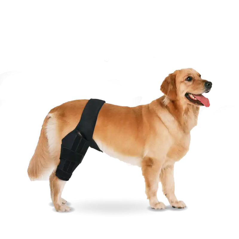 Yuksito Dog Knee Brace for Torn ACL Hind Leg, Dog Knee Brace for luxating patella, Dog Arthritis Brace, Dog Leg Brace Maintains Joint Warmth and Stability, Alleviates Pain Reduces Inflammation (Large) Large - PawsPlanet Australia
