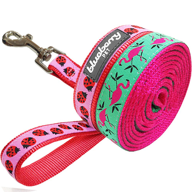 Blueberry Pet Size M 2cm by 150cm Pink Fabric Ladybug Designer Basic Nylon Dog Leashes, M, Matching Dog Collar & Harness Available Separate 2cm x 150cm - PawsPlanet Australia