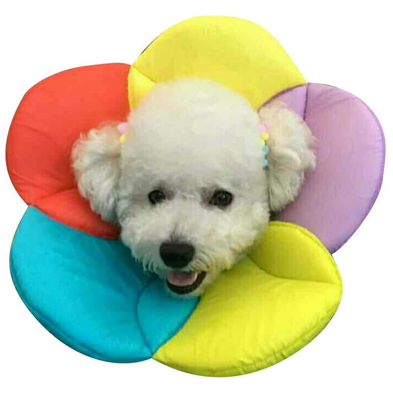 DELIFUR Dog Collar Pet E-Collar Elizabethan Dog Collars Recovery Pet Cone for Cats and Small Dogs Breathable Soft Edge and Easy to Clean (M) Medium Multicolored - PawsPlanet Australia