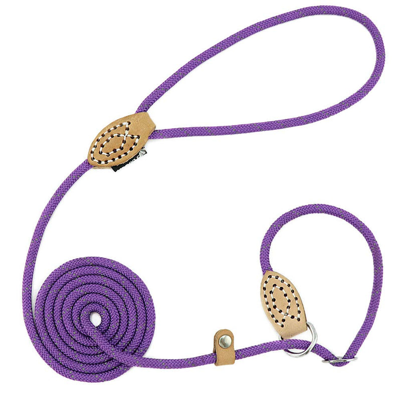Grand Line Reflective Dog Lead for Small, Medium and Large Pets - 1.5 m Purple 0.6 x 150 cm (Pack of 1) - PawsPlanet Australia