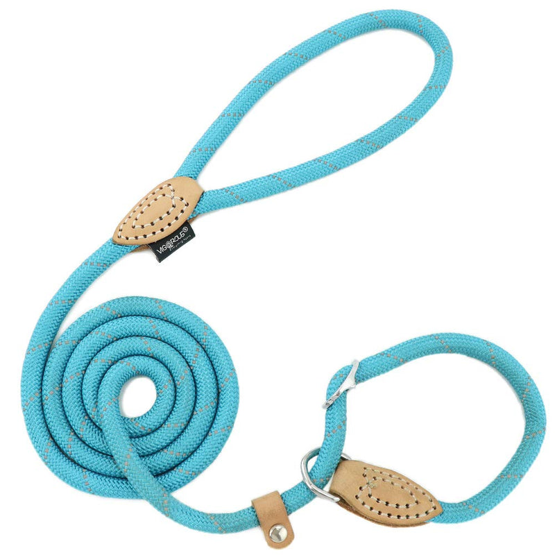 Grand Line Reflective Dog Lead for Small, Medium and Large Pets - 1.5 m Blue 1 x 150 cm (Pack of 1) - PawsPlanet Australia