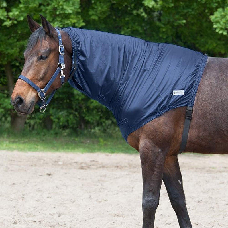 WALDHAUSEN eczema neck part night blue warmblood - PawsPlanet Australia