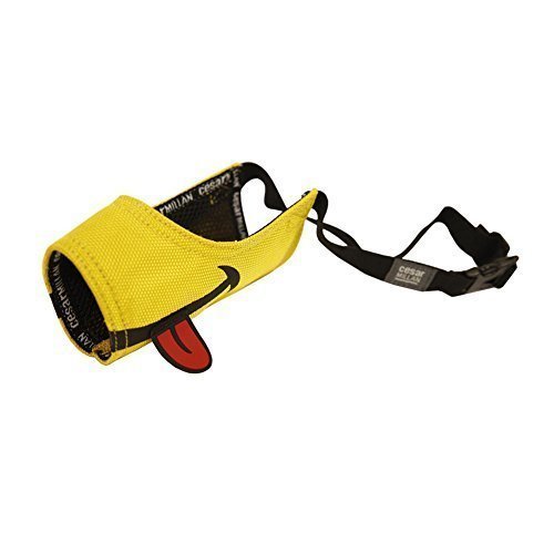 Cesar Millan funny muzzleTM - muzzle of the dog whisperer Cesar Millan, yellow, size 4 (pack of 1) - PawsPlanet Australia