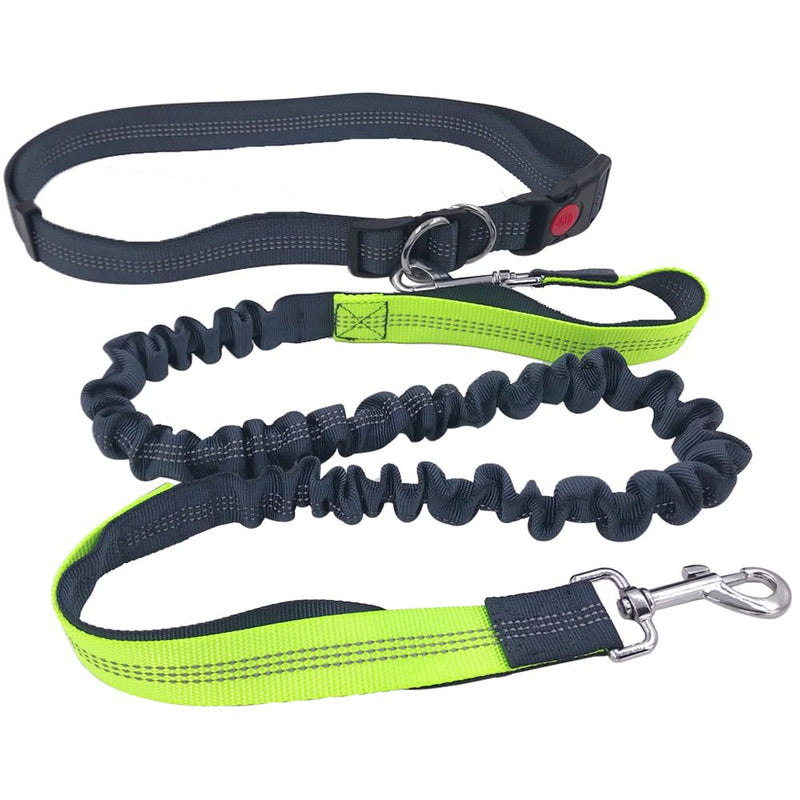 QitinDasen Gray Hands-Free Dog Lead, Adjustable Waist Belt and Dual Handles Stretchy Bungee Lead, Jogging Dog Lead with Reflective Stitching (Green Handle) - PawsPlanet Australia
