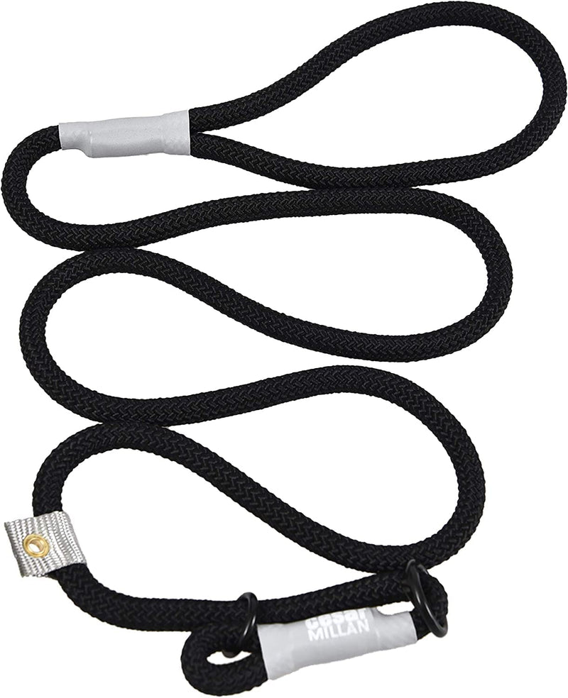 Cesar Millan leash - training leash for dogs - 2-in-1 collar dog and leash - slip lead - retriever leash with integrated collar, weatherproof rope - length 120cm diameter 1.2cm color black large - PawsPlanet Australia