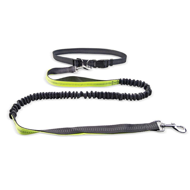 Moraphee Hands Free Retractable Dog Leash for Running with Reflective Thread, Adjustable Waistband Length: 70-120cm; Leash size: 160-190*2.5cm for dogs under 110lb - PawsPlanet Australia