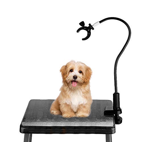 Hair Dryer Holder 360 Degree Rotating Hands-Free Hair Dryer Stand Aluminum Alloy Gooseneck Pet Dog Cat Grooming Table Hair Dryer Clip Holder with Clamp Holder - PawsPlanet Australia