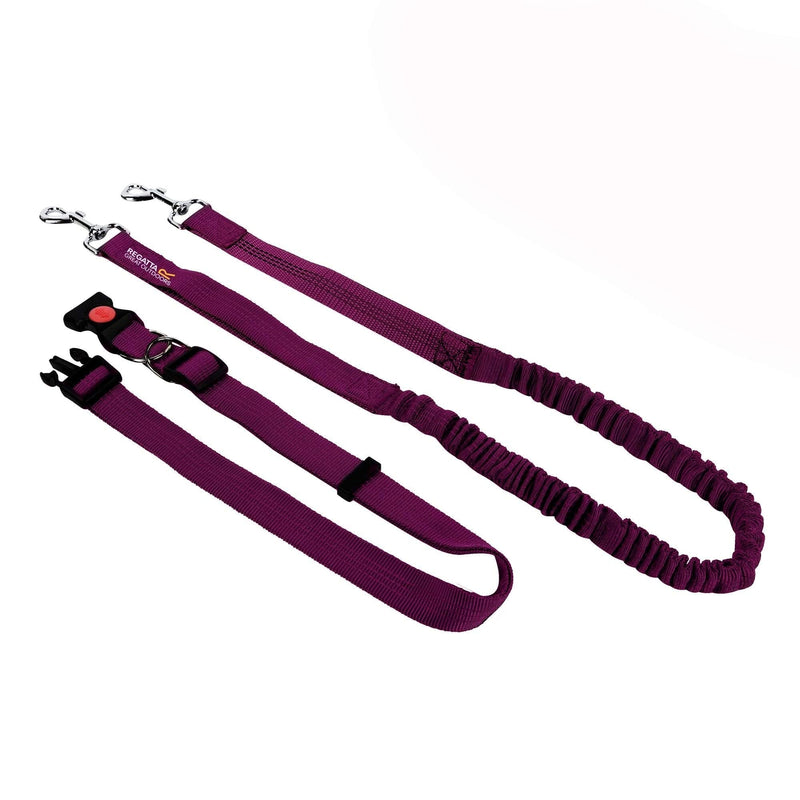 Regatta Reflective Shock Absorbing Heavy Duty Waist Belt for Jogging Hands Free Running One Size Azalia - PawsPlanet Australia