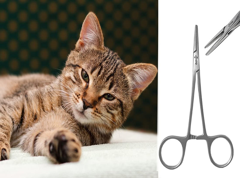 Dog Grooming Scissors Clamps 14cm Serrated Teeth for Pet Grooming Dog Ear Hair Puller Locking Grooming Clamp for Dogs 14cm Serrated Teeth - PawsPlanet Australia