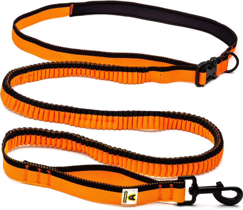 Dog friend running leash - particularly light, stretchy dog leash for medium and large dogs for hands-free running | Photographing | Pushing a stroller | Hike - PawsPlanet Australia