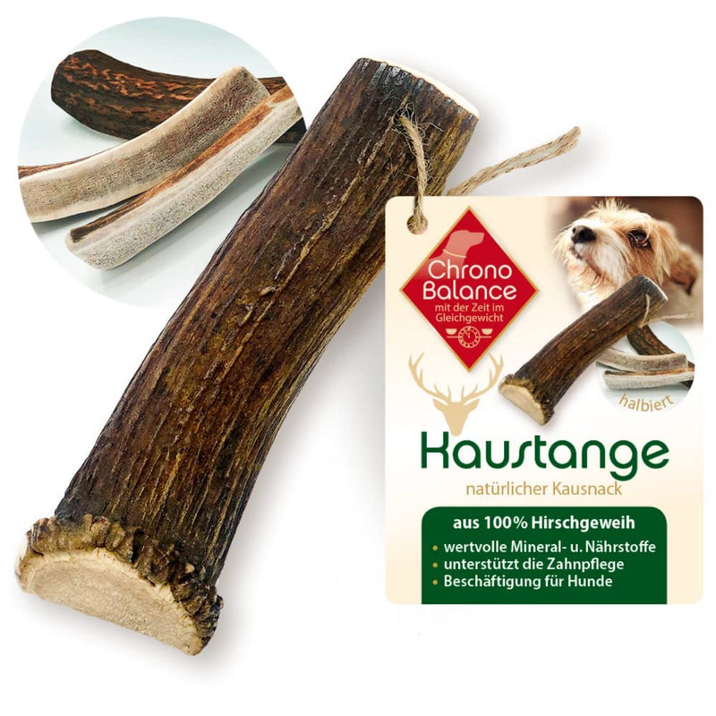 ChronoBalance® Antler Chew Stick for Dogs: M Chew Toy Dental Care Chew Stick Made of 100% Deer Antler: Dog Toy Chew Root Treat Chew Wood Dental Hygiene Chew Bone Set: Naturally Safe Robust M (Pack of 1) - PawsPlanet Australia
