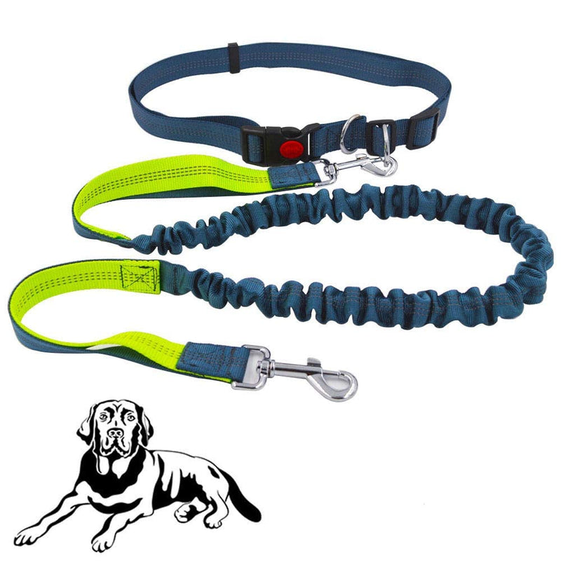 Senvenelec Jogging Dog Leash, Retractable Dog Leash, Adjustable Belt Carry Handle Running Bungee Dog Harness, Reflective Strap, Running, Walking, Hiking Hyena (Green, Gray and Grey) - PawsPlanet Australia
