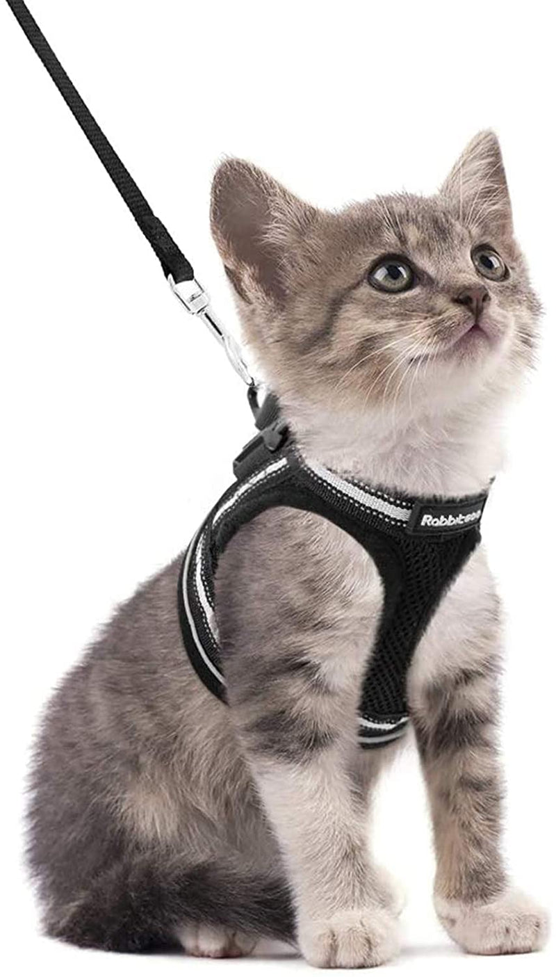 rabbitgoo Cat Harness Leash Set Harness for Cats Escape-Proof Cat Leash Kitten Adjustable Soft Kitten Vest with Reflective Strips for Extra Small Cats Cat Harness S (Pack of 1) Black - PawsPlanet Australia