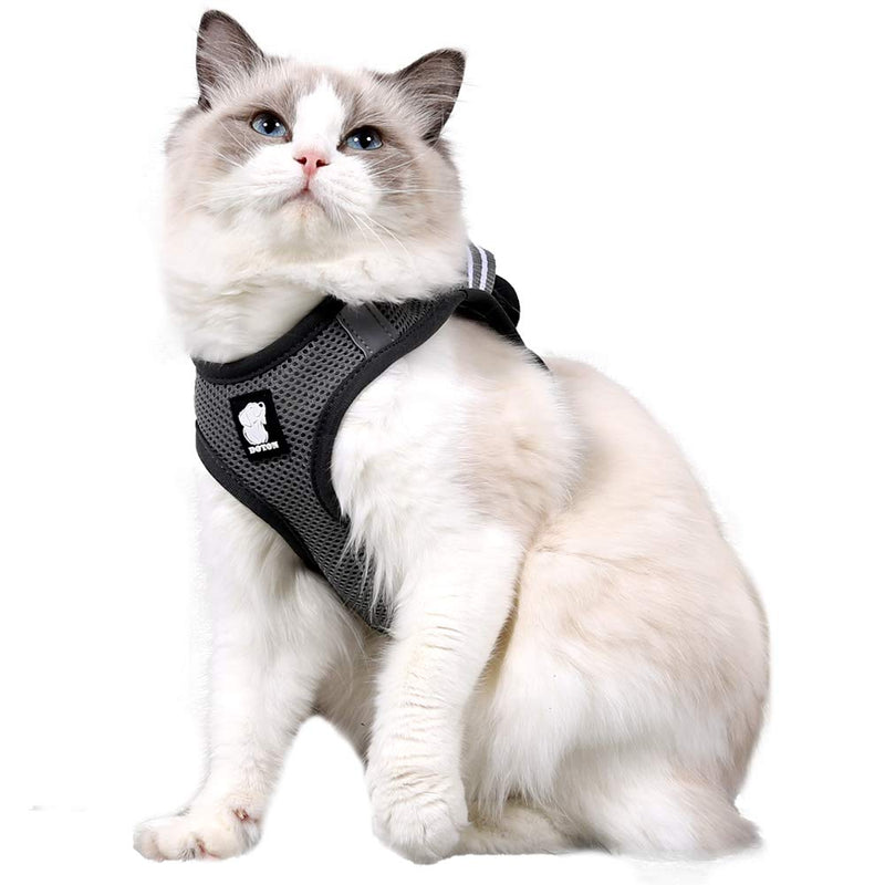 Cat Harness and Leash Ultralight Kitten Collar Soft and Comfortable for Walking Steaming for Puppies Rabbits with Cationic Fabric (silv,l) L (Pack of 1) Sliv - PawsPlanet Australia