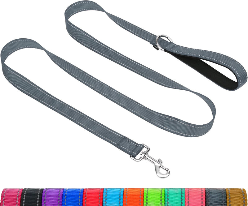 Taglory Dog Leash Medium Large Dogs Lightweight | Double-sided reflective | Padded handle | Support 10 to 75 kg | 1.8mx 2.5cm | Gray 1.8 m x 2.5 cm (pack of 1) - PawsPlanet Australia