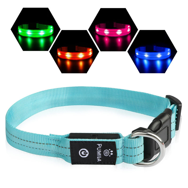 Dog Collar Luminous Collar Waterproof Light Up LED Dog Collar USB Rechargeable Flashing Reflective Dog Collars Adjustable Super Bright for Large Medium Small Dogs, Blue-XS XS (25-32cm, 2cm) - PawsPlanet Australia