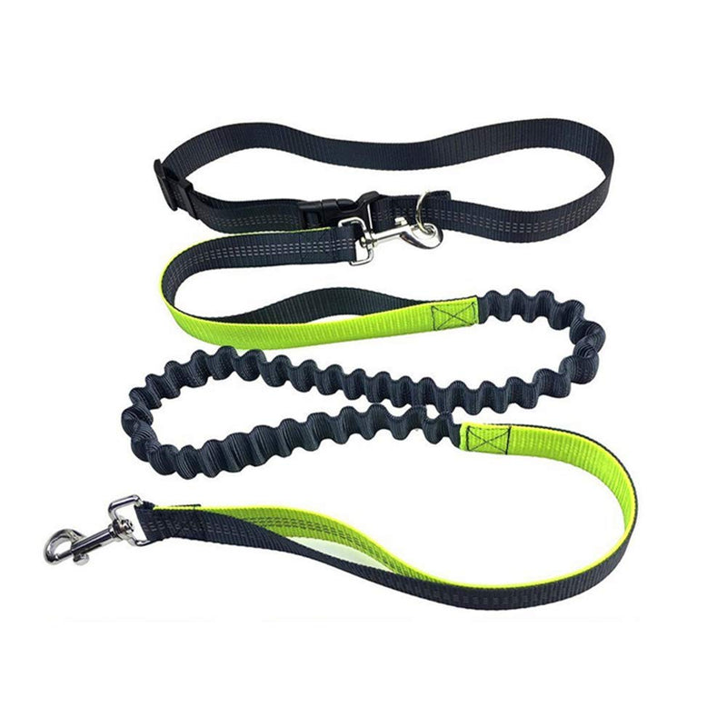 Aiqeer Gray Hands-Free Dog Lead, Adjustable Waist Belt and Stretchy Bungee Lead, Jogging Dog Lead with Reflective Stitching (Green Handle) - PawsPlanet Australia