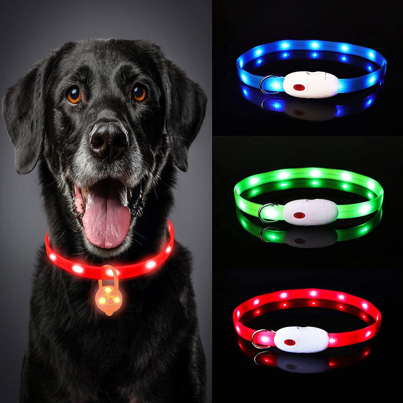 Oladwolf Light Up Dog Collar Rechargeable LED Dog Collar Luminous Waterproof Length Adjustable USB Pet Safety Collar for Dogs and Cats - 3 Light Modes (Red) Red - PawsPlanet Australia