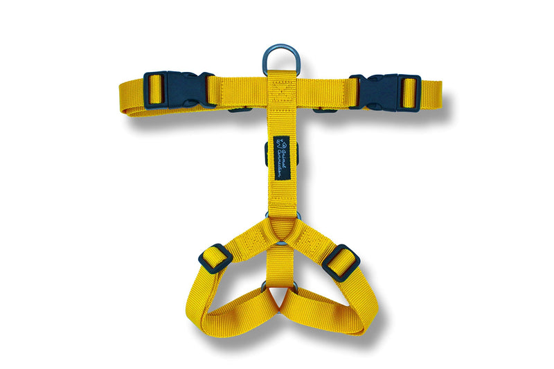 Animal Connection H-shape dog harness, dog vest harnesses 5-point adjustment, lightweight and durable. (XS, Yellow) XS - PawsPlanet Australia