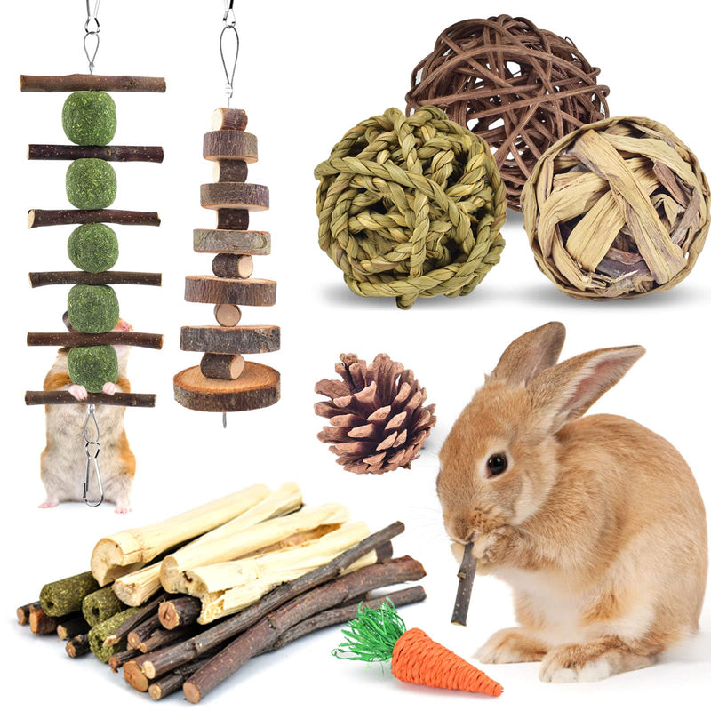 ERKOON Rabbit Accessories, 8 Types of Rabbit Chew Toys, Rabbits Employment Small Animals Natural Timothy Hay Sticks Apple Sticks Dental Care Treats Chinchilla Guinea Pigs Gerbils - PawsPlanet Australia