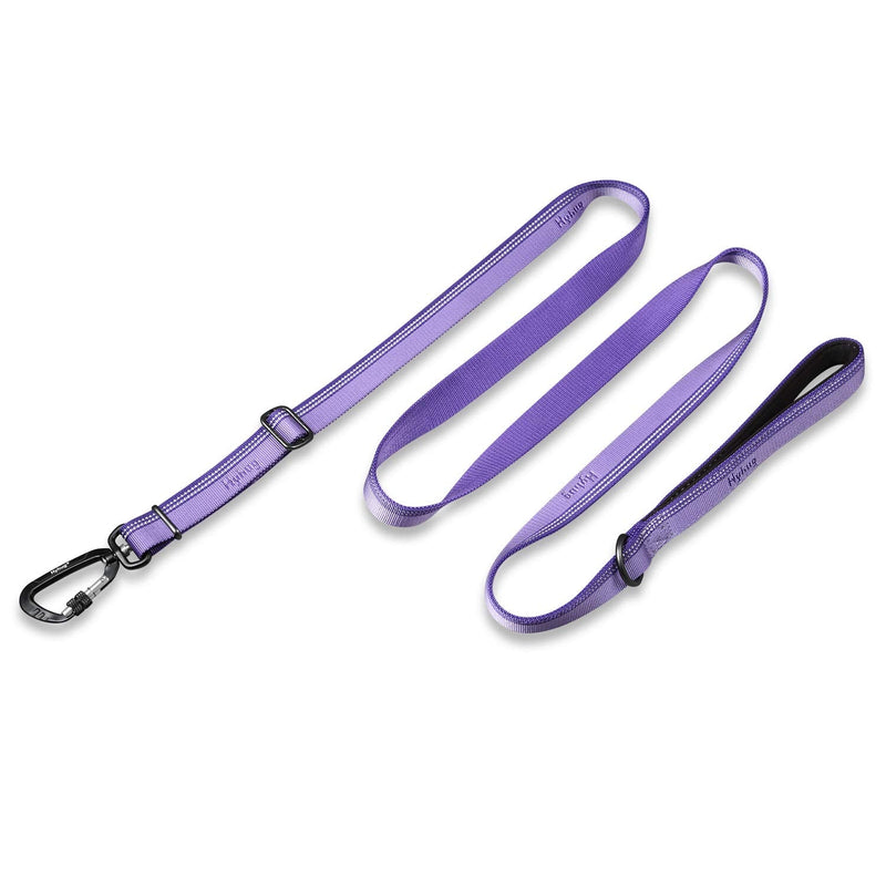 Hyhug 2021 Strong 3M Reflective Nylon Dog Lead, Comfortable Dog Belt Handle, Adjustable Length, Stylish, Wear-Resistant, Night Walks Safe (1800cm, Paisley Purple) 1800cm - PawsPlanet Australia