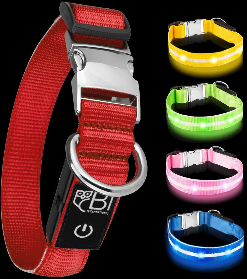 Luminous collar for dogs [The original] Luminous LED dog collar for walking even in the dark - very long battery life - safe thanks to high-quality metal clasp (red, L) L (48-60 cm) red - PawsPlanet Australia