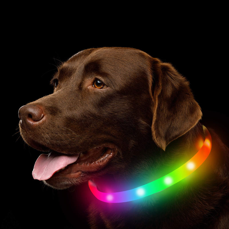 NOVKIN LED Dog Collar, Rechargeable Dog Collar with RGB Color Changing, Waterproof Dog Lights Make Pet Visible and Safe for Night Walks for Small Medium Dogs Rainbow - PawsPlanet Australia