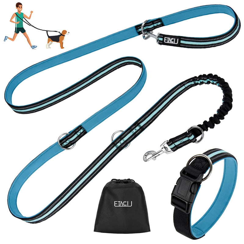 ETACCU Double Leads Free Hand Leads Training Leads with Retractable Leads 3M for Medium Dogs up to 50 kg, Large Dogs Robust Non-Slip Handle, Tangle Free, Reflective (Blue) L丨3M丨50kg丨Blue - PawsPlanet Australia