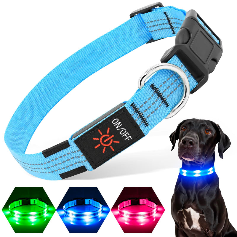 PZRLit Dog Collar Luminous USB Rechargeable, LED Dog Light Collar for Small Medium Large Dogs, Safety When Running at Night, Blue Medium Blue - PawsPlanet Australia
