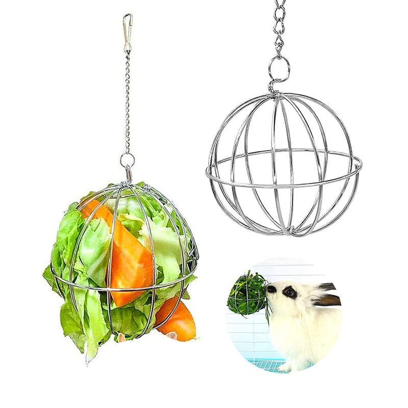 Esteopt Pack of 2 stainless steel feeder balls, hay ball, rodent food ball, metal hay ball, stainless steel feeder toy for guinea pigs, hamsters, rabbits, rodents - PawsPlanet Australia