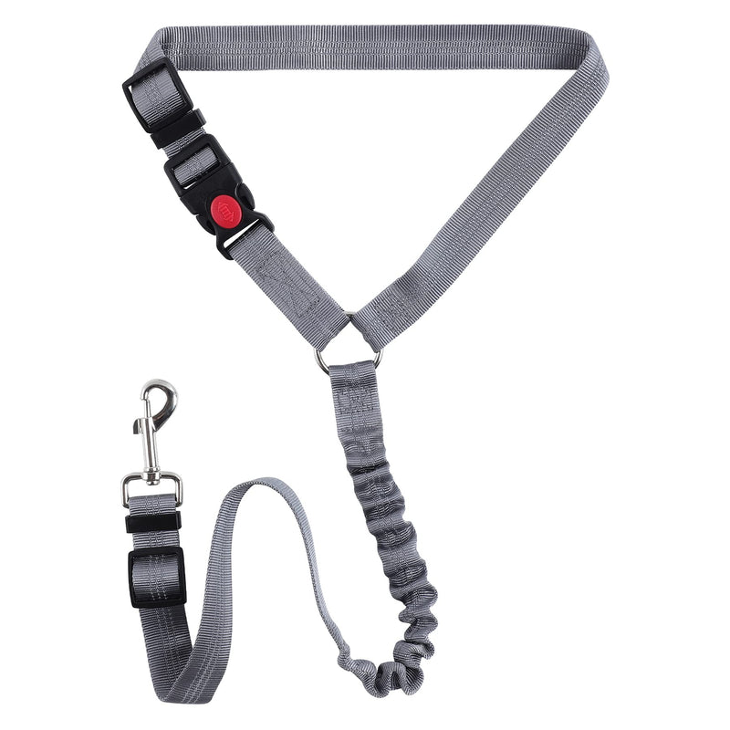 KARY Dog seat belt for car, dog car seat belt for domestic cats and small to medium dogs, dog seat belt for car with reflective strips and buffer ropes (silver) - PawsPlanet Australia