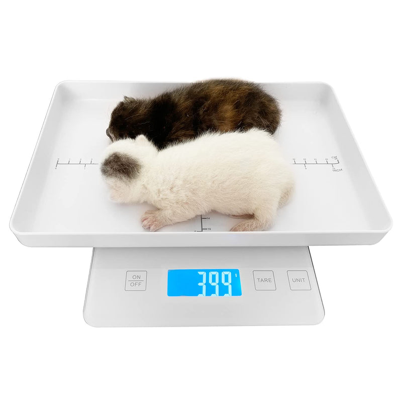 MINDPET-MED Digital Pet Scales for Small Animals Welf Scales Mini Precision Gram Weight Balance High Precision 1g Suitable for Newborn Pets White - PawsPlanet Australia